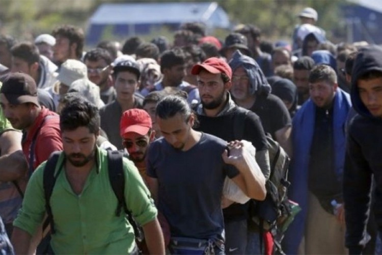 EU za migrantsku krizu dala 44 miliona evra, a problema sve više
