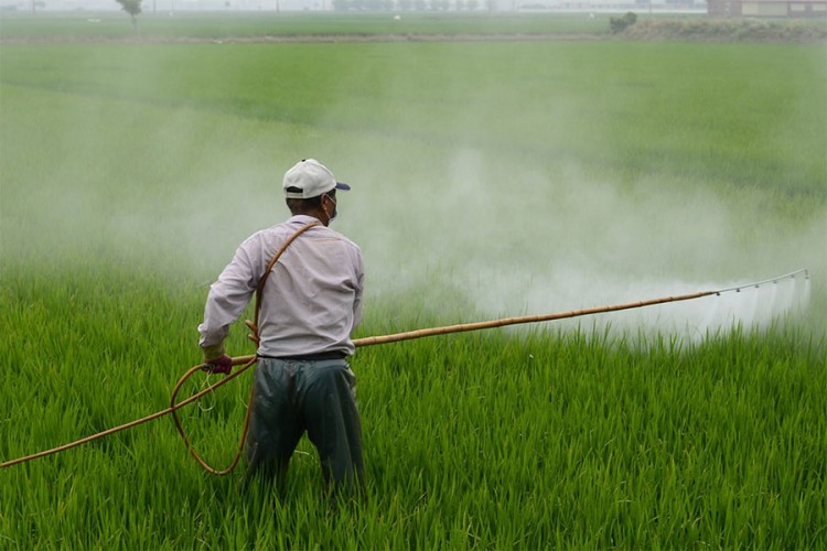 EU zabranila još jedan pesticid jer je opasan za ljude i pčele