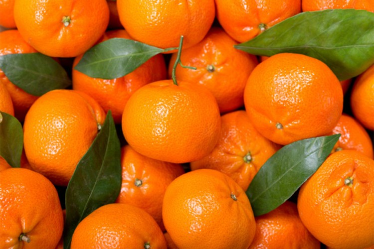 Spriječen nezakonit promet četiri tone mandarina