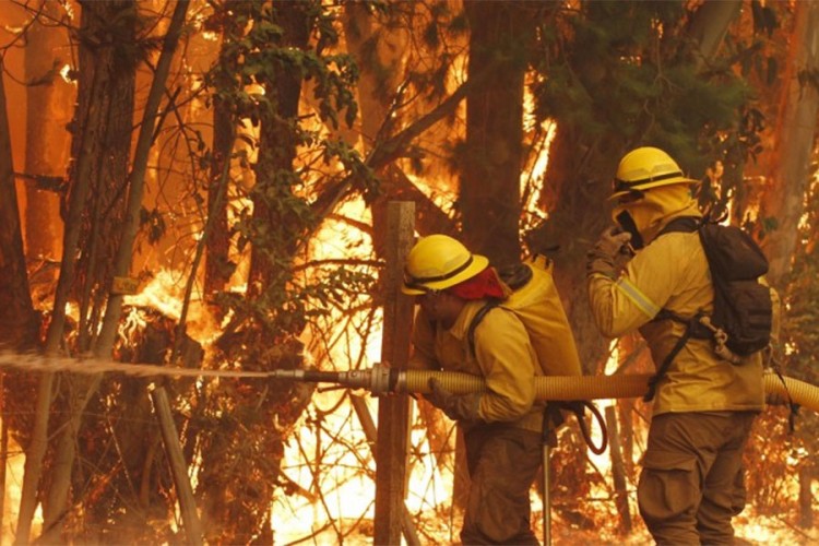 Dvije djevojke poginule u požaru u Kaliforniji