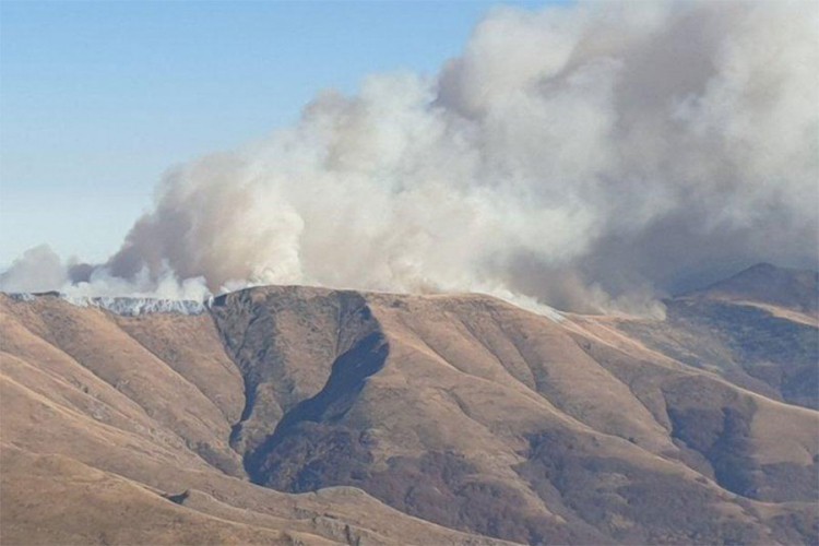 Gori Stara planina: Veliki požar iz Bugarske proširio se na srpski dio