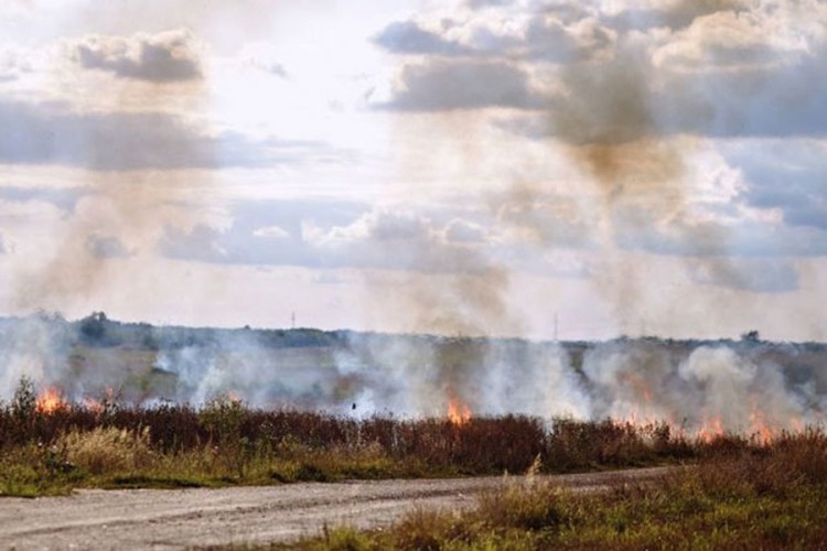 Požari na jugu Srbije, angažovano više od 200 vatrogasaca