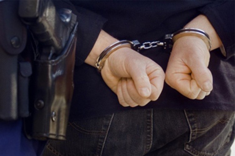 Zaposleni u Dizniju među uhapšenima zbog dječije pornografije