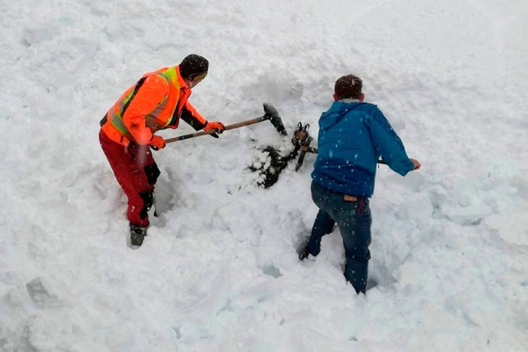 Snijeg izazvao haos u dijelovima Austrije