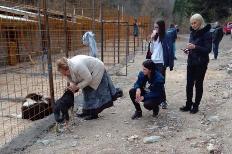 U Bugojnu otvoreno prihvatilište za zbrinjavanje pasa lutalica