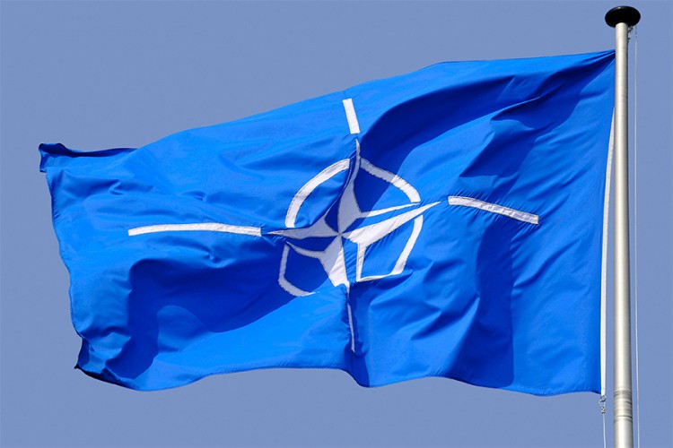 Njemački parlamentarac: NATO se raspada i to dočekujem širom raširenih ruku