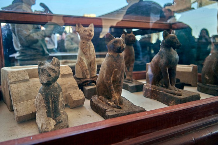 U Egiptu pronađene mumificirane mačke, lavovi, krokodili