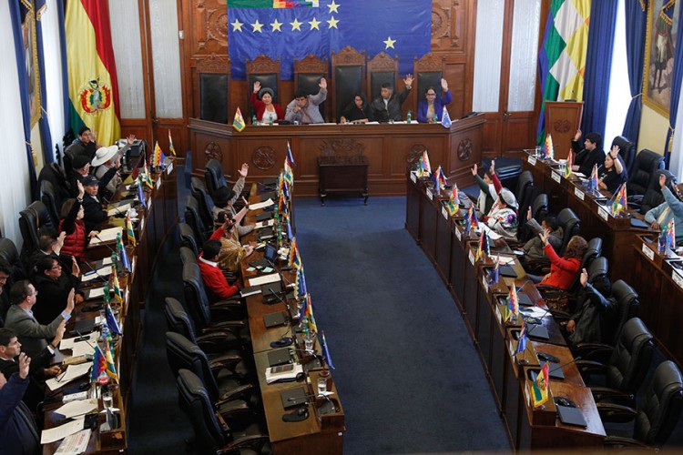 Senat usvojio prijedlog zakona o novim izborima u Boliviji
