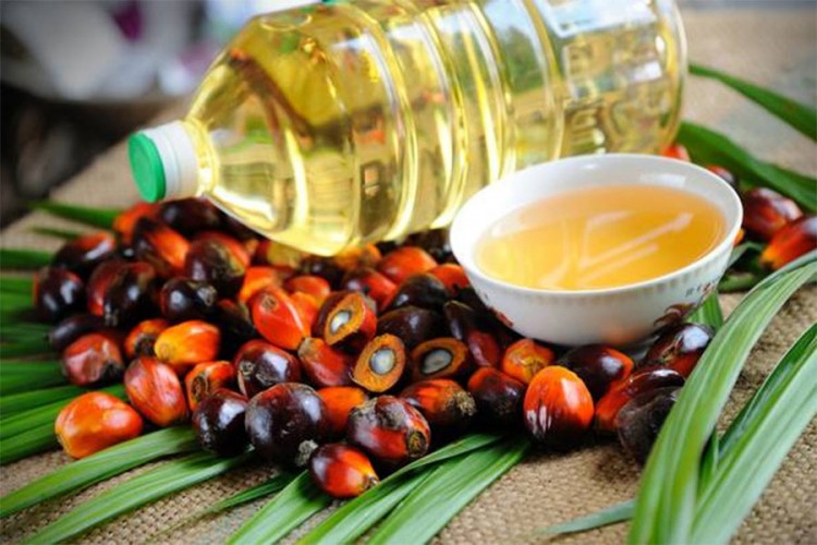 Da li je palmino ulje zdravo ili štetno?