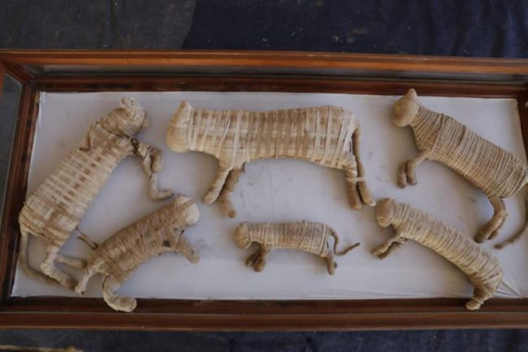 Mumije lava otkrivene u Egiptu