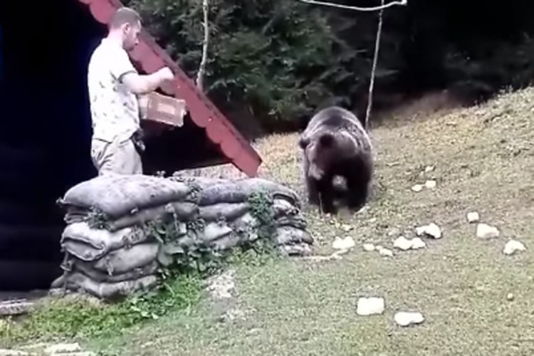 Medvjed svaki dan dolazi na ručak pred restoran na Igmanu