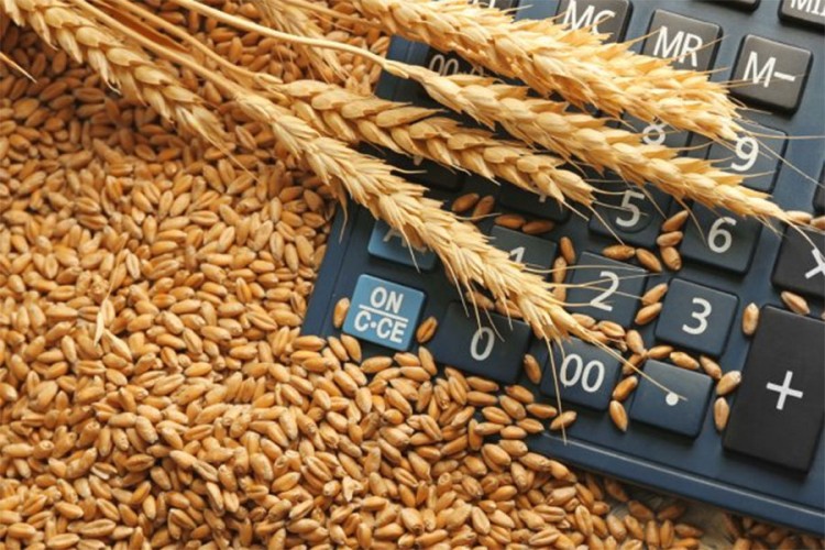 Rusija svjetski broj 1 u izvozu pšenice