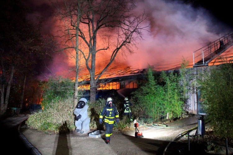 Požar u zoo-vrtu u Njemačkoj, poginule mnoge životinje
