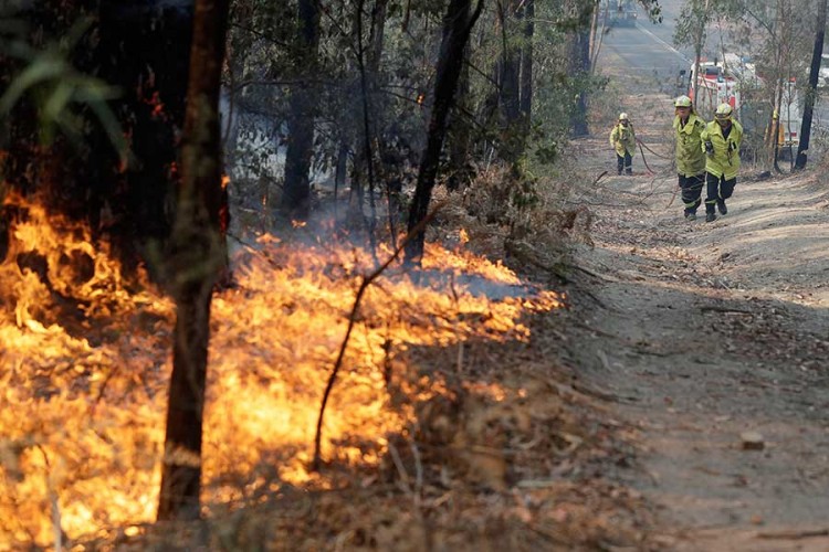 Vojska angažovana na gašenju vatrene stihije u Australiji