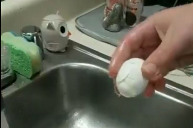 Pogledajte nevjerovatan trik za ljuštenje jaja