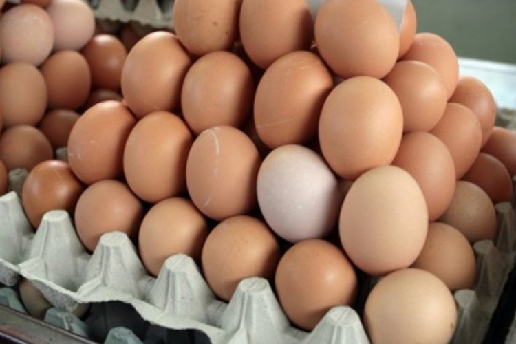 Izvezene prve količine jaja na evropsko tržište