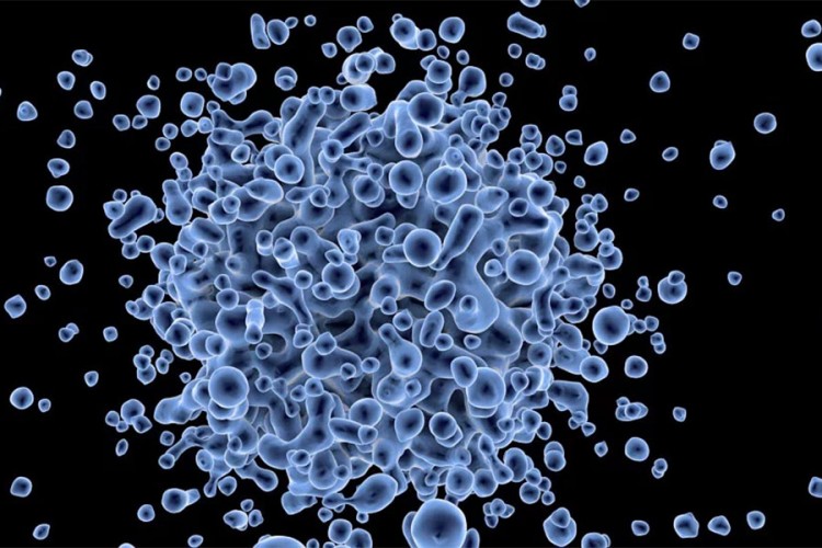 Naučnici: Novi kineski virus zaraziće stotine ljudi