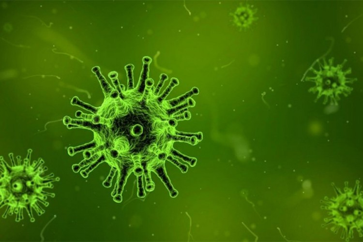 Kineski virus: Koliko bismo trebali biti zabrinuti?