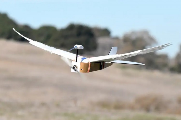 Napravljen robot-ptica sa krilima od pravog perja