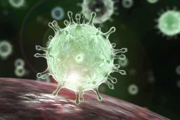 Objavljeni CT snimci: Evo šta koronavirus radi plućima