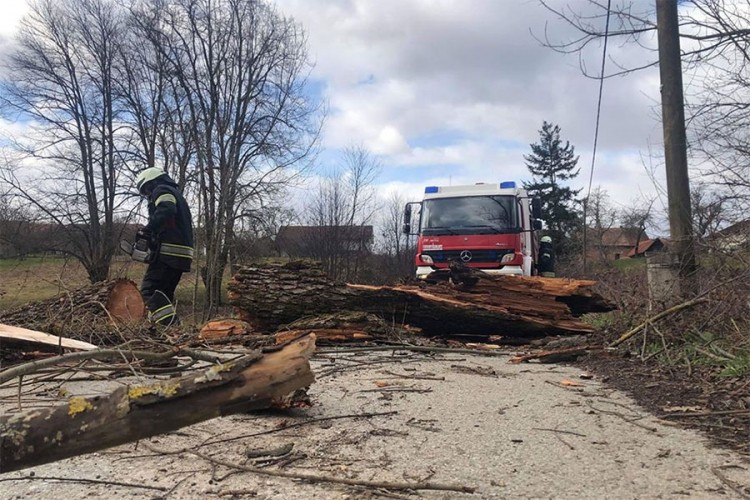 Vjetar pravi haos u Hrvatskoj: Diže krovove, ruši stabla