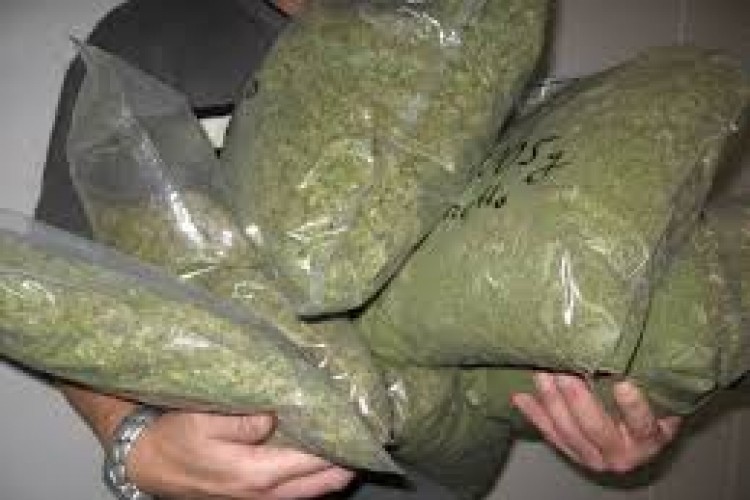 Zaplijenjeno devet kilograma marihuane