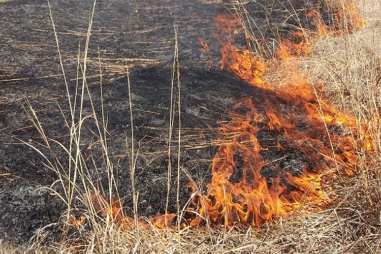 Požar u rejonu sela Korita