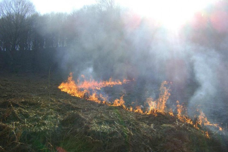 Požari uništavaju šume i divljač