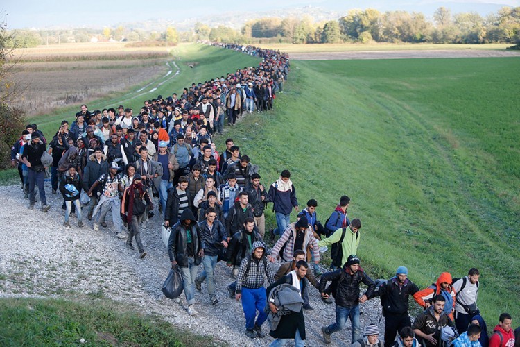 Svakog dana u BiH uđe stotinu migranata