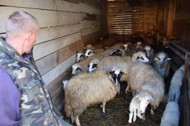 Na selo došao sa sićom u džepu, danas jedan od najvećih farmera u Goraždu