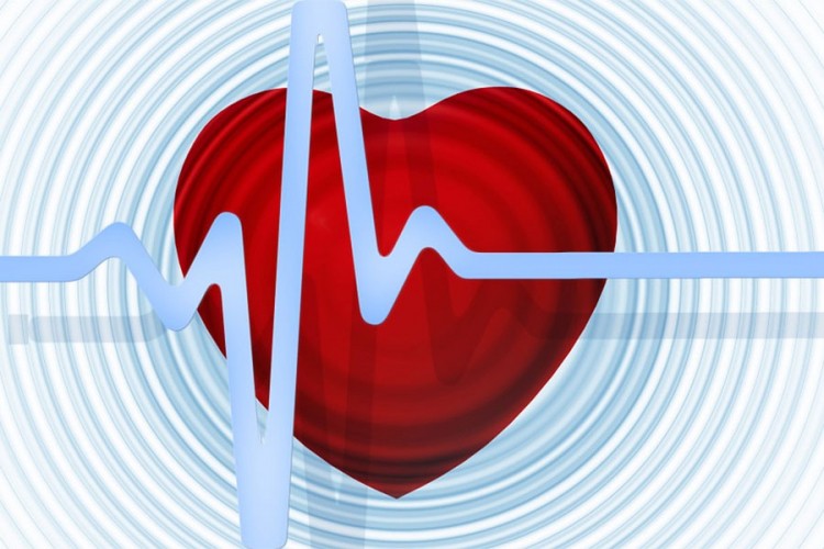 Ruski naučnici napravili računarski model srca
