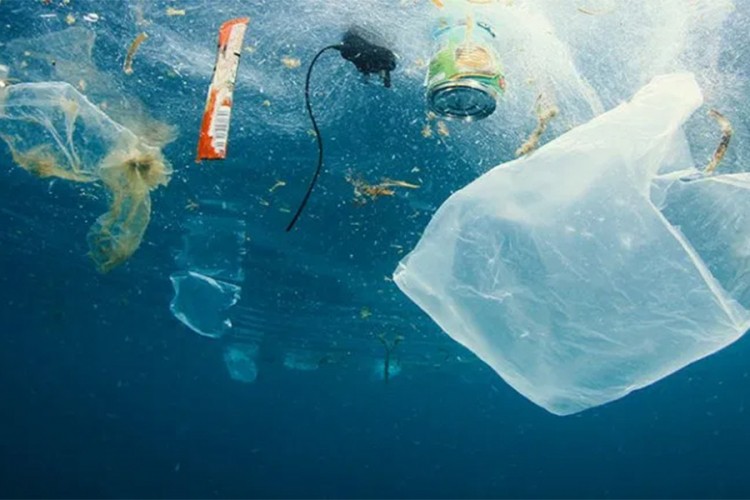 U okeanima će uskoro biti više plastike nego živih bića