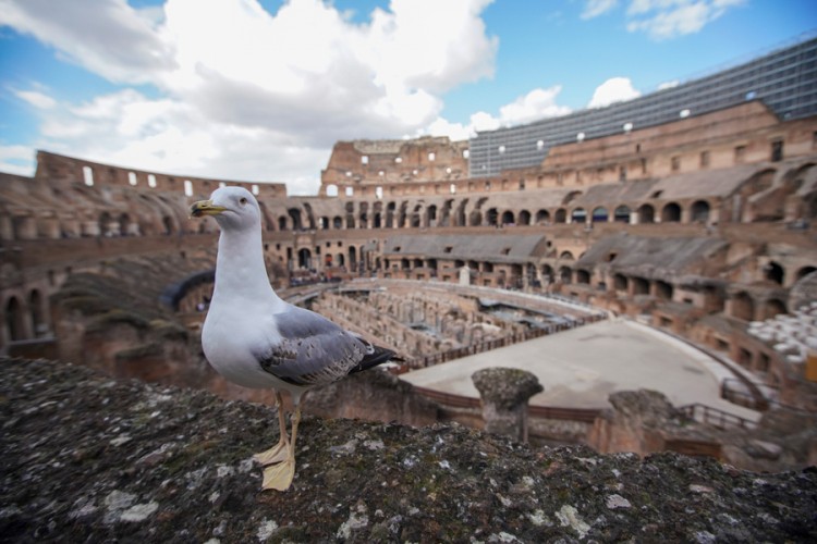 Italijanski gradovi pusti, virus korona rastjerao turiste