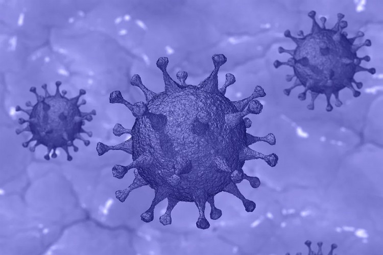 10 najvećih zabluda o virusu korona