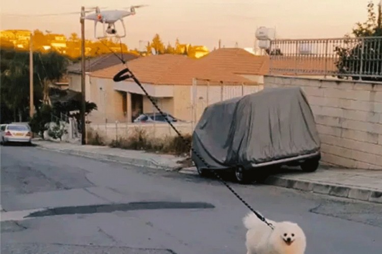 Dan kada su dronovi šetali pse