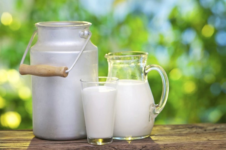 Proizvodnja mlijeka lani manja za 5,3 odsto