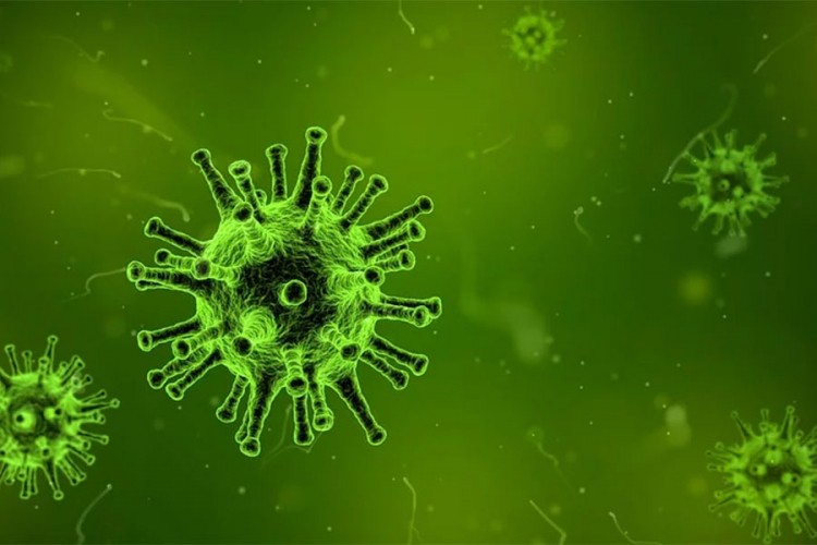 Dva epidemiologa iz Sremske Mitrovice imaju virus