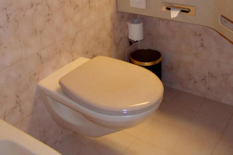 Istraživanje: Toalet možda najrizičnije mjesto za prenos virusa korona