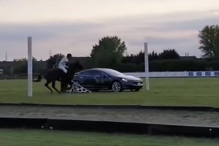 Nesvakidašnja trka: Tesla protiv konja, ko je brži?