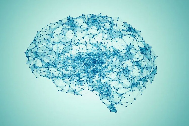 Naučnici razvili AI koji moždanu aktivnost prevodi u tekst