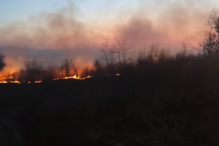 Ugašen požar u šumi iznad Tuzle