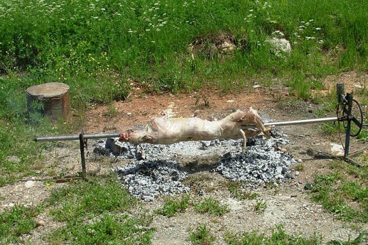 Pekli jagnje tokom policijskog časa: Kazne za 11 osoba u Srpcu