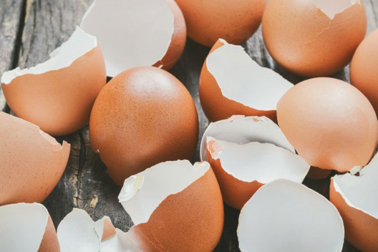 Iskoristite ljuske jajeta u kući, vrtu ali i za uljepšavanje