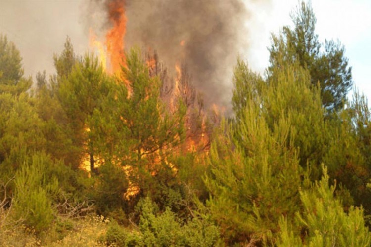 Odjeknule eksplozije dok su vatrogasci gasili vatru u Milićima