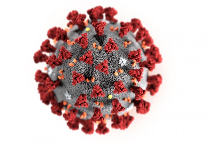 Naučnici snimili kako virus COVID-19 napada ćeliju