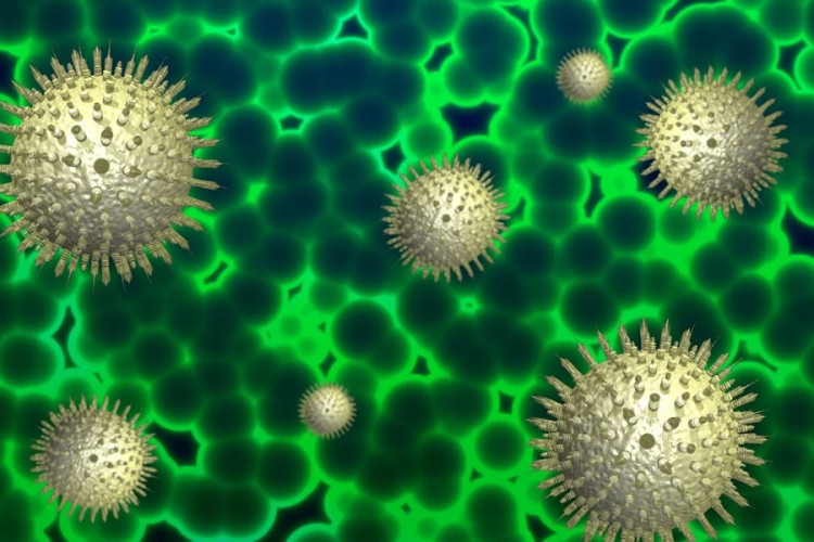 Kineski naučnici pronašli veći broj sojeva virusa korona