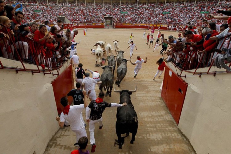 PETA daje 250.000 eura Pamploni ako zabrane trke s bikovima