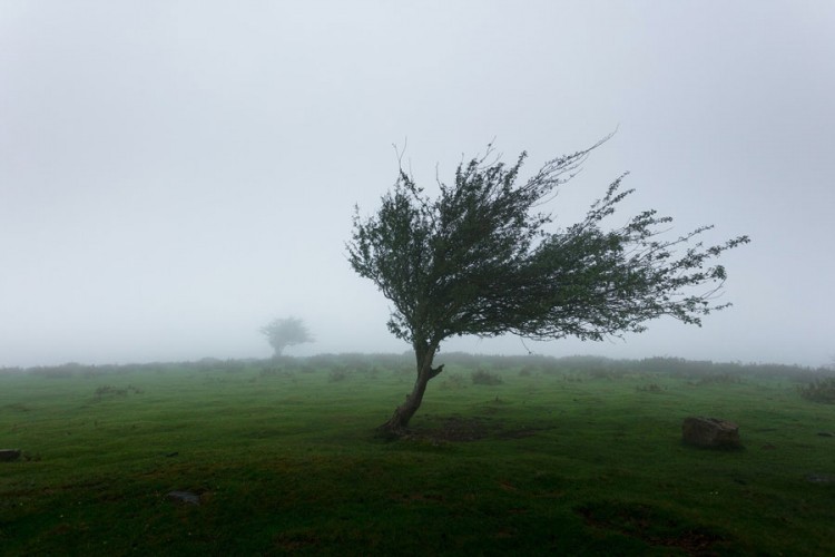 Povremeni jači udari vjetra na području Banjaluke i Trebinja
