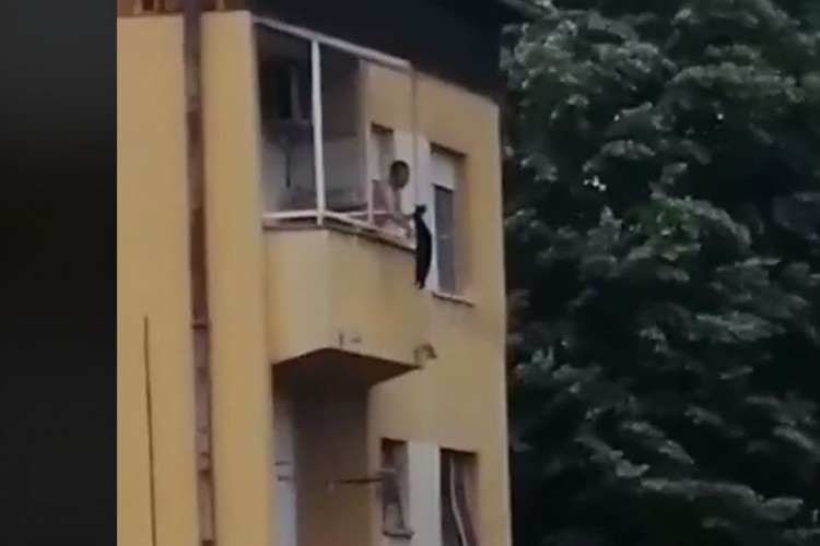 Uznemirujući snimak: Mučio mačku, zaklao je, pa bacio sa terase