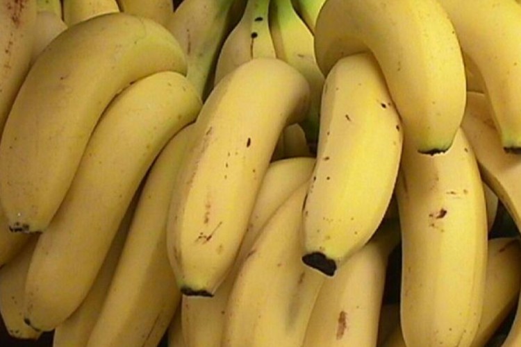 Dvije tone kokaina pronađene među bananama